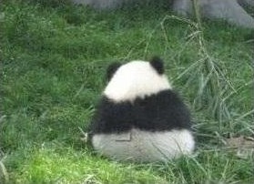 여자들이 반할 수 밖에 없다는 뒷모습 ㄷㄷㄷ.JPG | 인스티즈